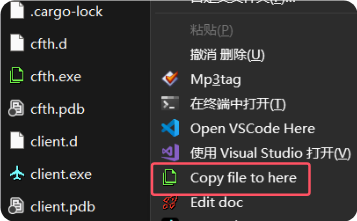 Copy file to here
